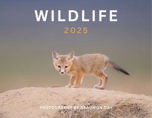 2025 Wildlife Calendar