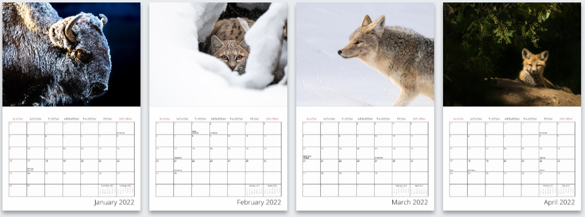 2022 Wildlife Calendar