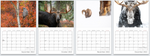 Load image into Gallery viewer, 2022 Wildlife Calendar
